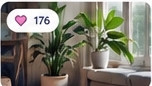 10 Tipps für ein entspannteres Zuhause